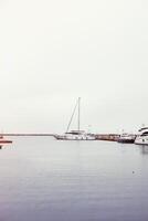 luxe jachten geparkeerd in een baai aan de zee foto