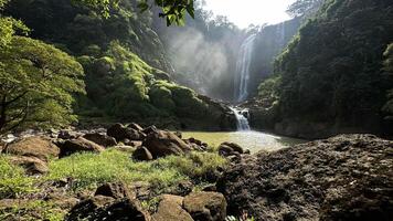 achtergrond natuur landschap waterval in de oerwoud met rotsen en bomen foto