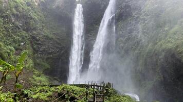 achtergrond natuur landschap waterval in de oerwoud met rotsen en bomen foto