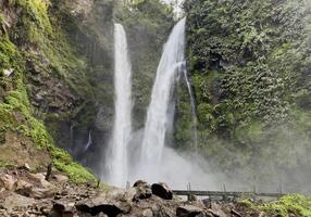 achtergrond natuur landschap waterval in de oerwoud met rotsen en bomen foto