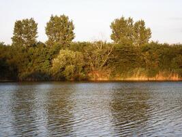 zomer kleurrijk bomen Bij de rivier- foto