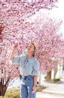 jong vrouw reiziger op zoek kers bloesems of sakura bloem bloeiend foto