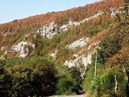 herfst berg Woud met weg foto