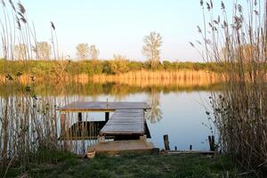 meer pier in herfst met riet reflectie in rustig rivier- foto