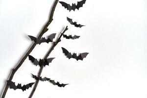 halloween decoratie concept zwart papier vleermuizen droog Afdeling stok wit karton achtergrond foto