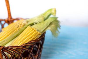 vers rauw maïs maïskolf in mand, blauw houten tafel, kleur achtergrond foto