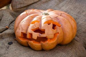 mooi pompoenen voor halloween foto