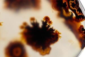 macro mineraal steen mos agaat, agaat muschiataan wit foto