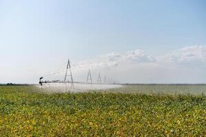 irrigatie systeem gieter gewassen Aan boerderij veld. foto