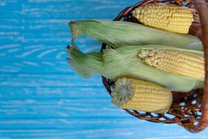 vers rauw maïs maïskolf in mand, blauw houten tafel, kleur achtergrond foto