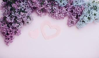 lila takken en twee roze hart Aan een licht roze achtergrond leeg ruimte voor uw tekst, top visie. foto