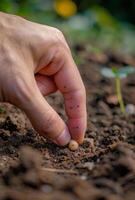 ai gegenereerd hand- aanplant zaad in de bodem foto