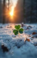 ai gegenereerd klein groen fabriek spruiten door de sneeuw in de stralen van de stijgende lijn zon foto