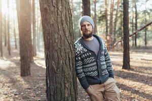 een jong Mens met een baard wandelingen in een pijnboom Woud. portret van een brutaal gebaard Mens herfst Woud foto