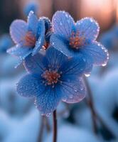 ai gegenereerd blauw bloemen van anemonen in de vroeg voorjaar foto