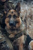 ai gegenereerd soldaat en zijn hond. Duitse herder hond zit foto