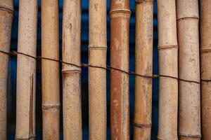 droog bamboe muur gebonden met touw structuur achtergrond, bamboe hek achtergrond, bamboe stok patroon foto