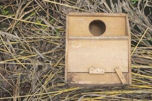 houten huis vogel in de Woud foto