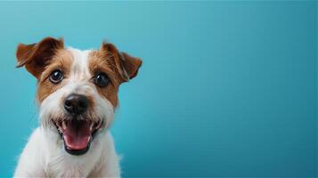 ai gegenereerd gelukkig glimlachen hond Aan blauw achtergrond foto