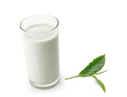 glas melk en groene thee blad geïsoleerd op een witte achtergrond
