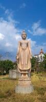 steen Boeddha staand standbeeld foto