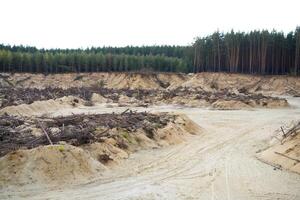 ontbossing Woud ramp verandering klimaat globaal opwarming probleem gekapt pijnboom bomen liggen zand mijnbouw. foto