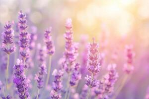 ai gegenereerd Purper lavendel bloemen in een dromerig Japans veld. foto