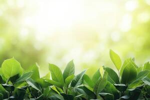 ai gegenereerd groen blad in tuin zomer natuur, omgeving, ecologie. foto