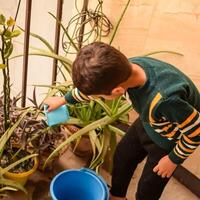 schattig 5 jaar oud Aziatisch weinig jongen is gieter de fabriek in de potten gelegen Bij huis balkon, liefde van zoet weinig jongen voor de moeder natuur gedurende gieter in planten, kind aanplant foto