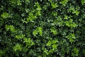 ai gegenereerd kunstmatig groen muur decoratie voor milieuvriendelijk natuur achtergrond. foto