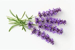 ai gegenereerd een bundel van lavendel bloemen Aan een wit achtergrond foto