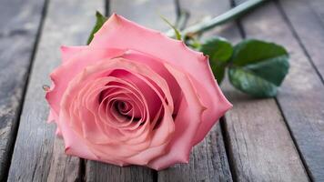 ai gegenereerd afbeelding selectief focus Aan roze roos voor st valentijnsdag liefde concept foto