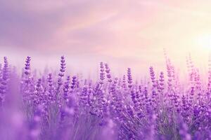 ai gegenereerd lavendel gearchiveerd achtergrond voor schoonheid producten foto