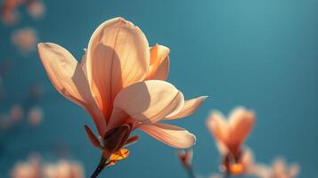 ai gegenereerd groot wit bloem tegen blauw lucht foto