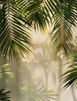 ai gegenereerd dichtbij omhoog van palm blad Aan wit achtergrond foto