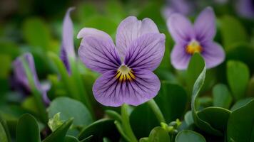 ai gegenereerd foto dichtbij omhoog schot onthult de ingewikkeld details van paars bloem