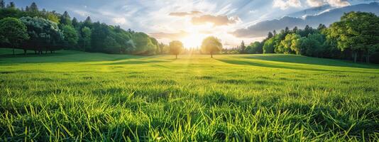 ai gegenereerd groen veld- met bomen en zon gluren door wolken foto