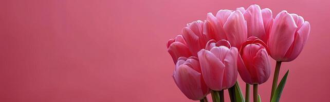 ai gegenereerd roze tulp boeket Aan roze achtergrond foto