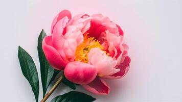 ai gegenereerd mooi vers roze pioen bloem geïsoleerd Aan wit achtergrond foto