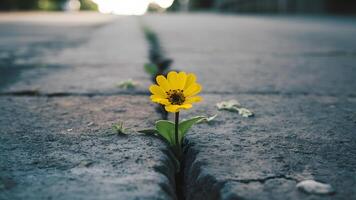 ai gegenereerd geel bloem groeit in barst Aan straat, symboliseert hoop foto