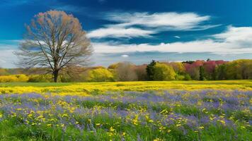 ai gegenereerd kleurrijk voorjaar panorama met bloemen weide onder blauw lucht foto
