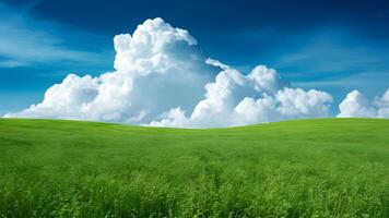 ai gegenereerd zomer milieu landschap concept met groen gras en cloudscape kunst foto