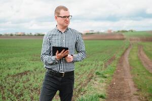 boer Aan een erwt veld. landbouw concept. de boer werken in de veld. veganistisch vegetarisch huis gegroeid voedsel productie. foto