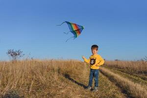 weinig jongen spelen met vlieger Aan weide. kinderjaren concept foto