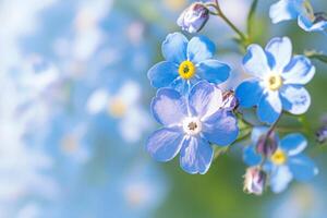 ai gegenereerd inspirerend bloei vergeten me niet bloemen in macro, een lente symfonie foto