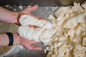 een eigengemaakt kaas producent, produceert handgemaakt Mozzarella met vers kwaliteit melk van haar koeien schapen in de ochtend. foto