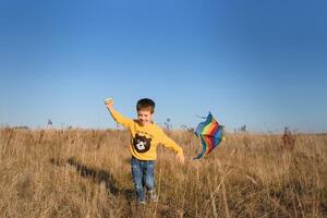 weinig jongen spelen met vlieger Aan weide. kinderjaren concept foto