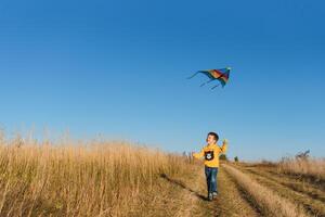 weinig jongen met vlieger vliegend over- zijn hoofd foto