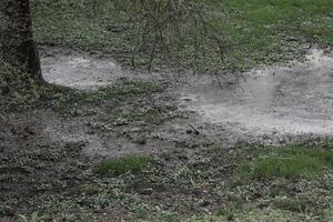 natuur achtergrond foto