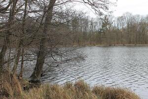 natuur achtergrond foto